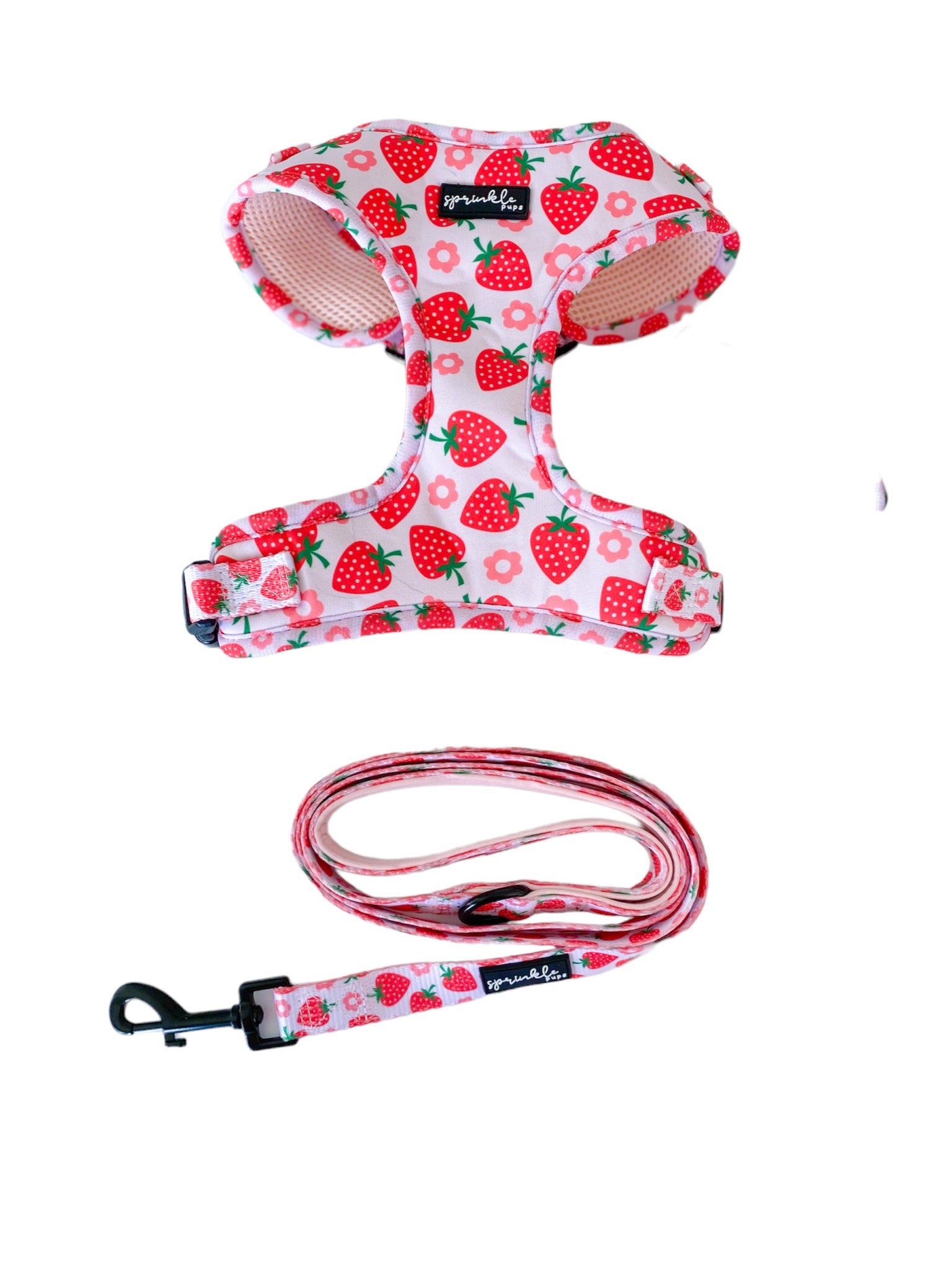 Strawberry Dog Harness & Leash Set