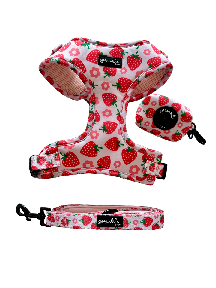 Matching Adjustable Dog Harness, Leash, Poo Bag Set - Strawberry Shortcake