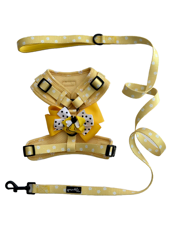 Bundle - Daisy Chiffon Pie Matching Harness, Leash and Harness Bow Charm