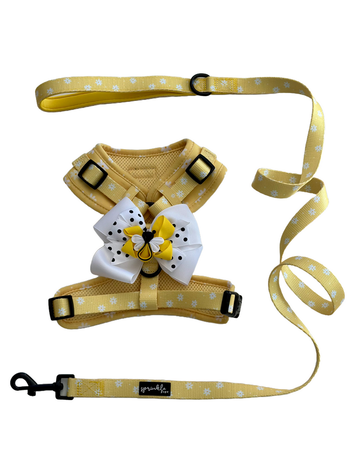 Bundle - Daisy Chiffon Pie Matching Harness, Leash and Harness Bow Charm