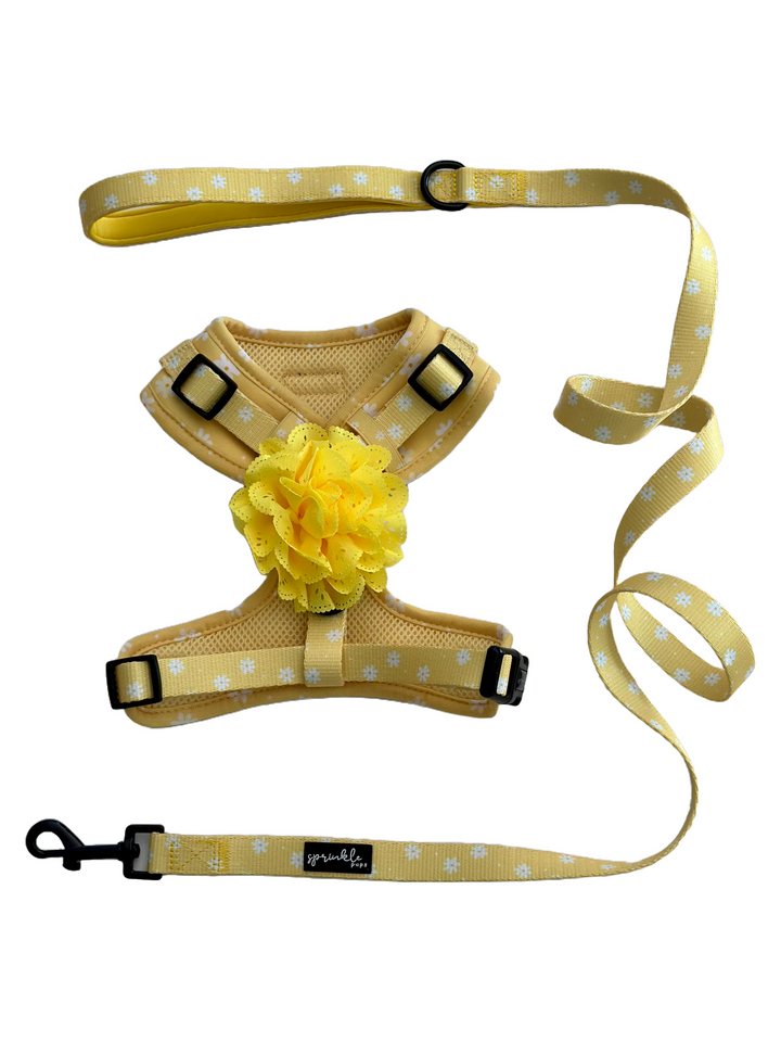 Bundle - Daisy Chiffon Pie Matching Harness, Leash and Harness Bow Charm