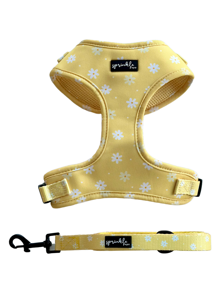 Bundle - Daisy Chiffon Pie Matching Harness and Leash Set