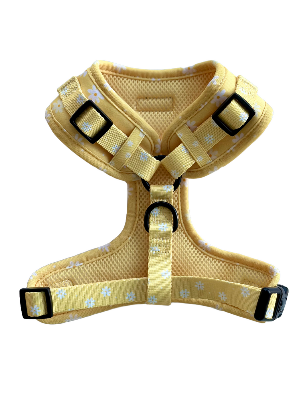 Adjustable Dog Harness - Daisy Chiffon Pie