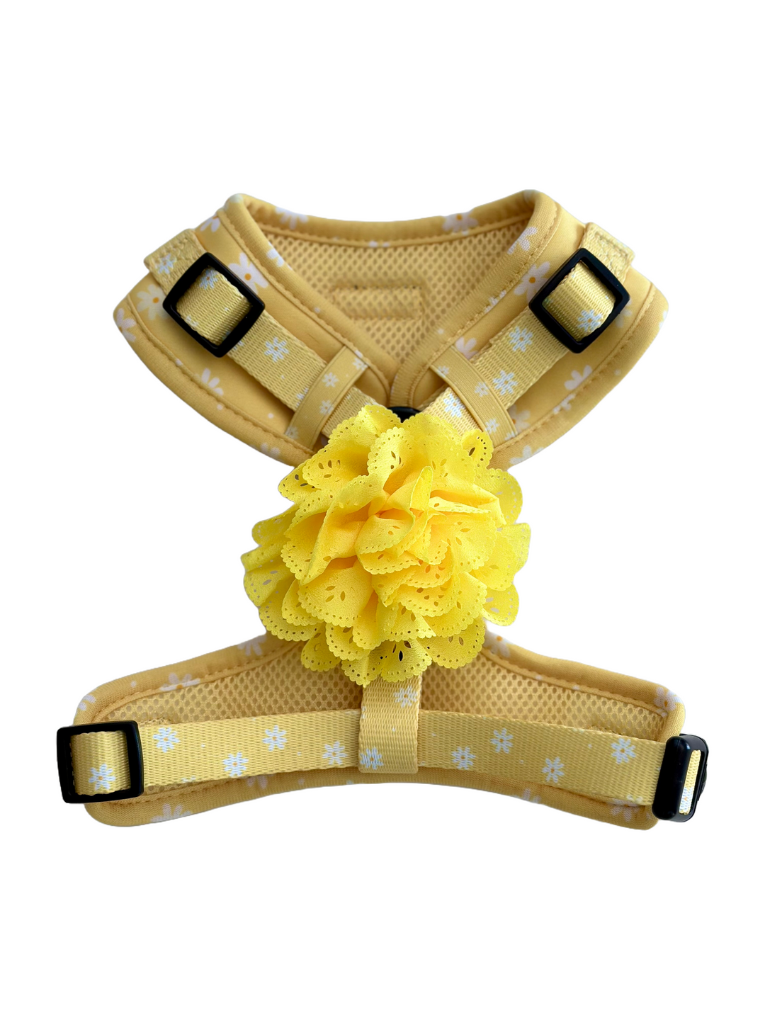 Big Bundle - Daisy Chiffon Pie Matching Harness, Leash and Three Harness Bow Charms