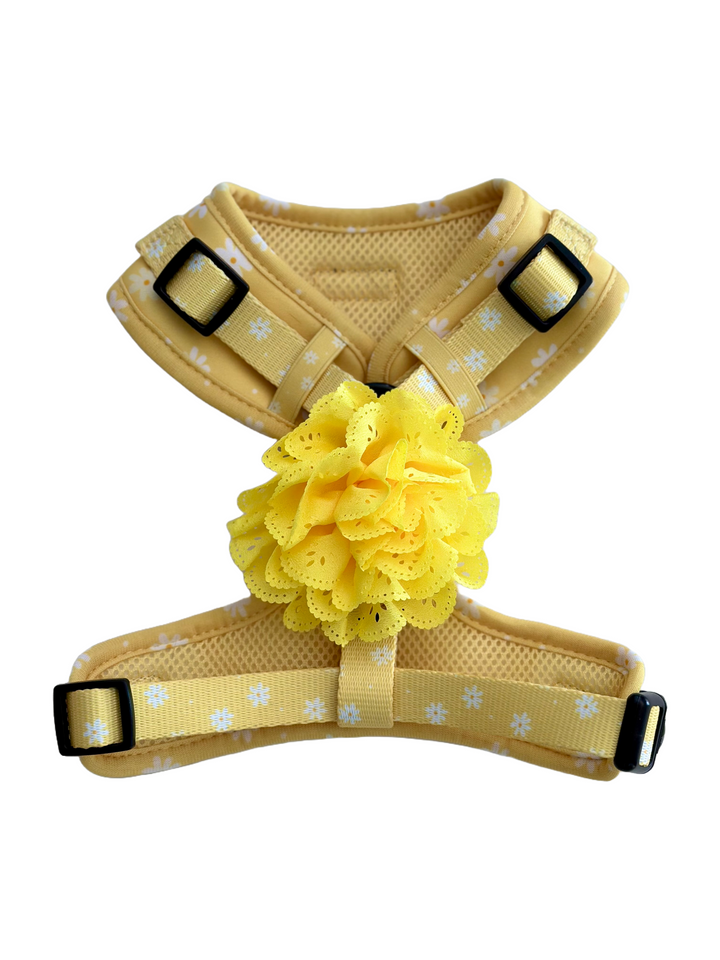 Adjustable Dog Harness - Daisy Chiffon Pie